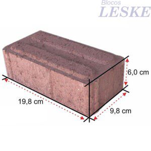 Paver 6 cm Podotátil Direcional